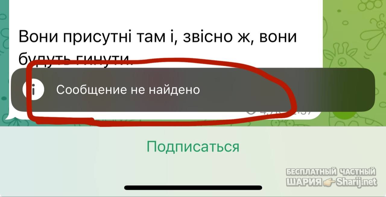 Анатолий Шарий Telegram канал — фото из публикации