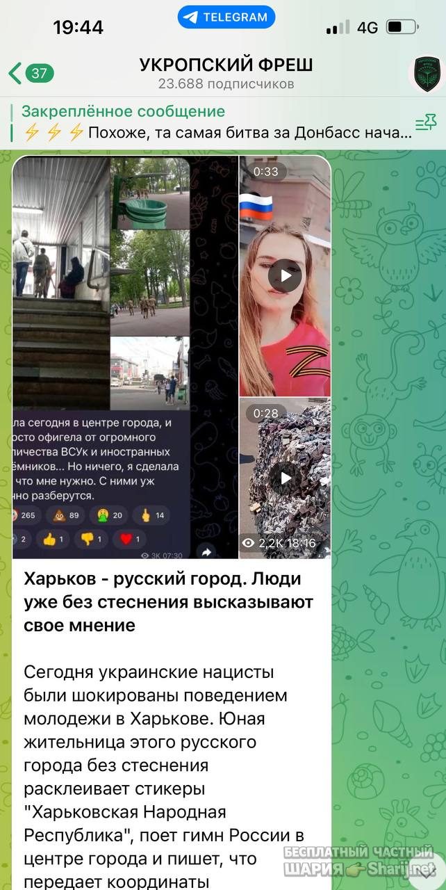 Анатолий Шарий Telegram канал — фото из публикации