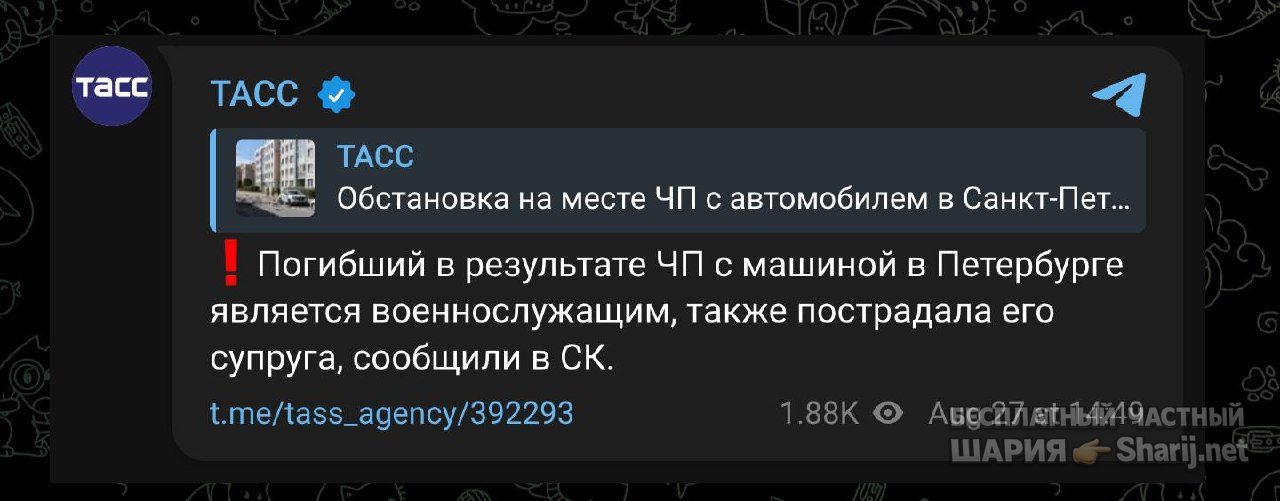 Анатолий Шарий Telegram канал — фото из публикации