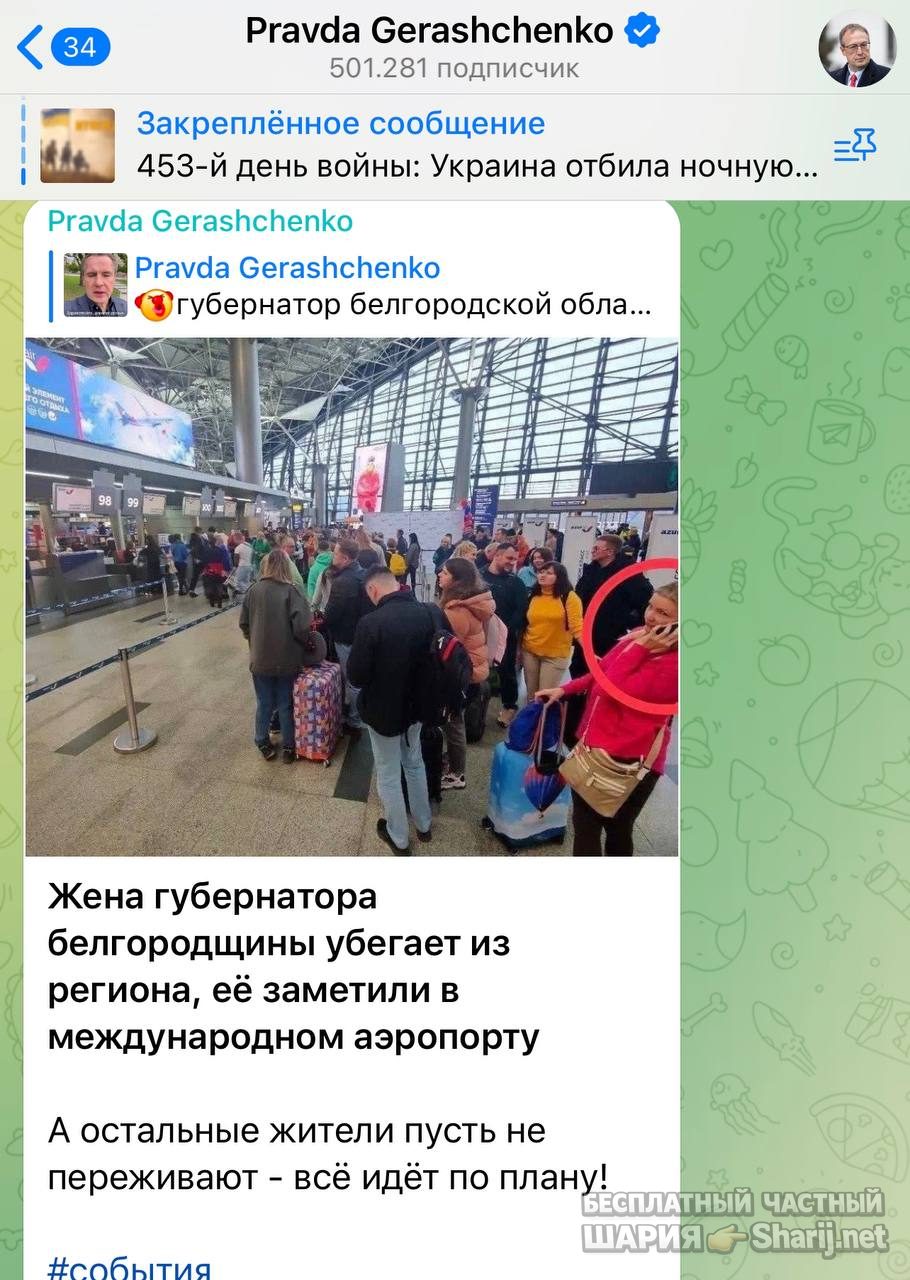 Анатолий Шарий Telegram канал — фото из публикации