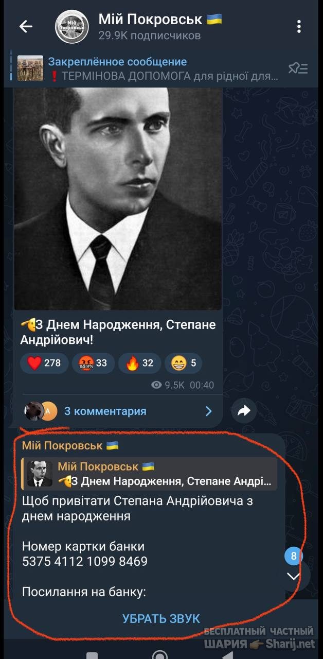 Анатолий Шарий Telegram канал — фото из публикации