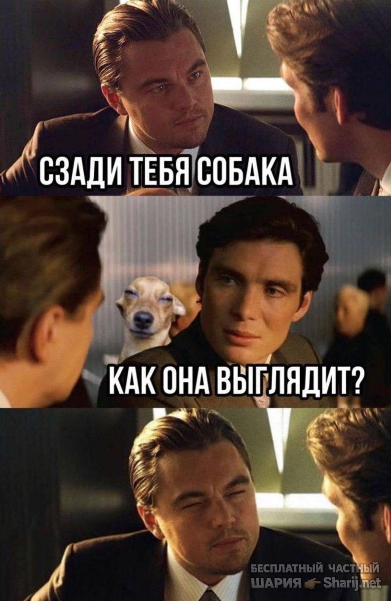 Анатолий Шарий Telegram канал — фото из публикации