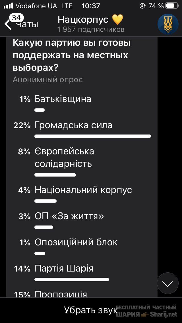 Анатолий Шарий Telegram канал — фото из публикации