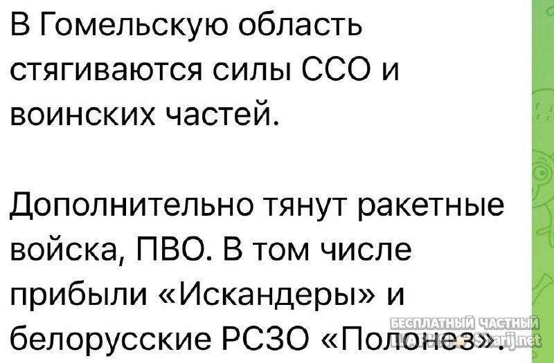 Анатолий Шарий Telegram канал — фото из публикации