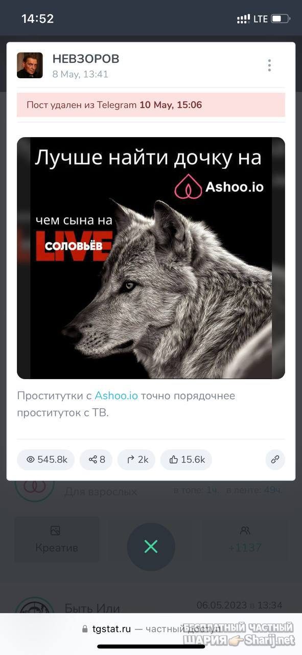 Анатолий Шарий Telegram канал — фото из публикации