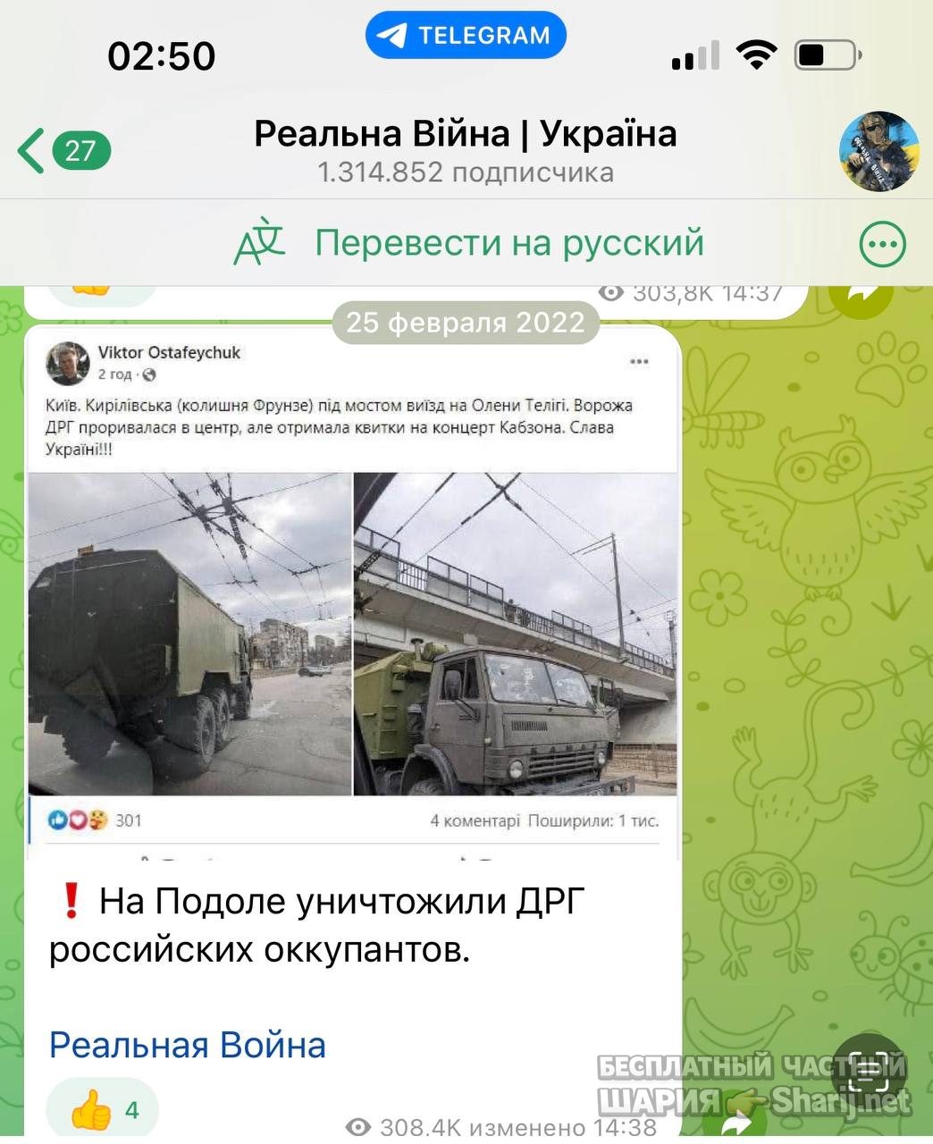Анатолий Шарий Telegram канал — фото из публикации
