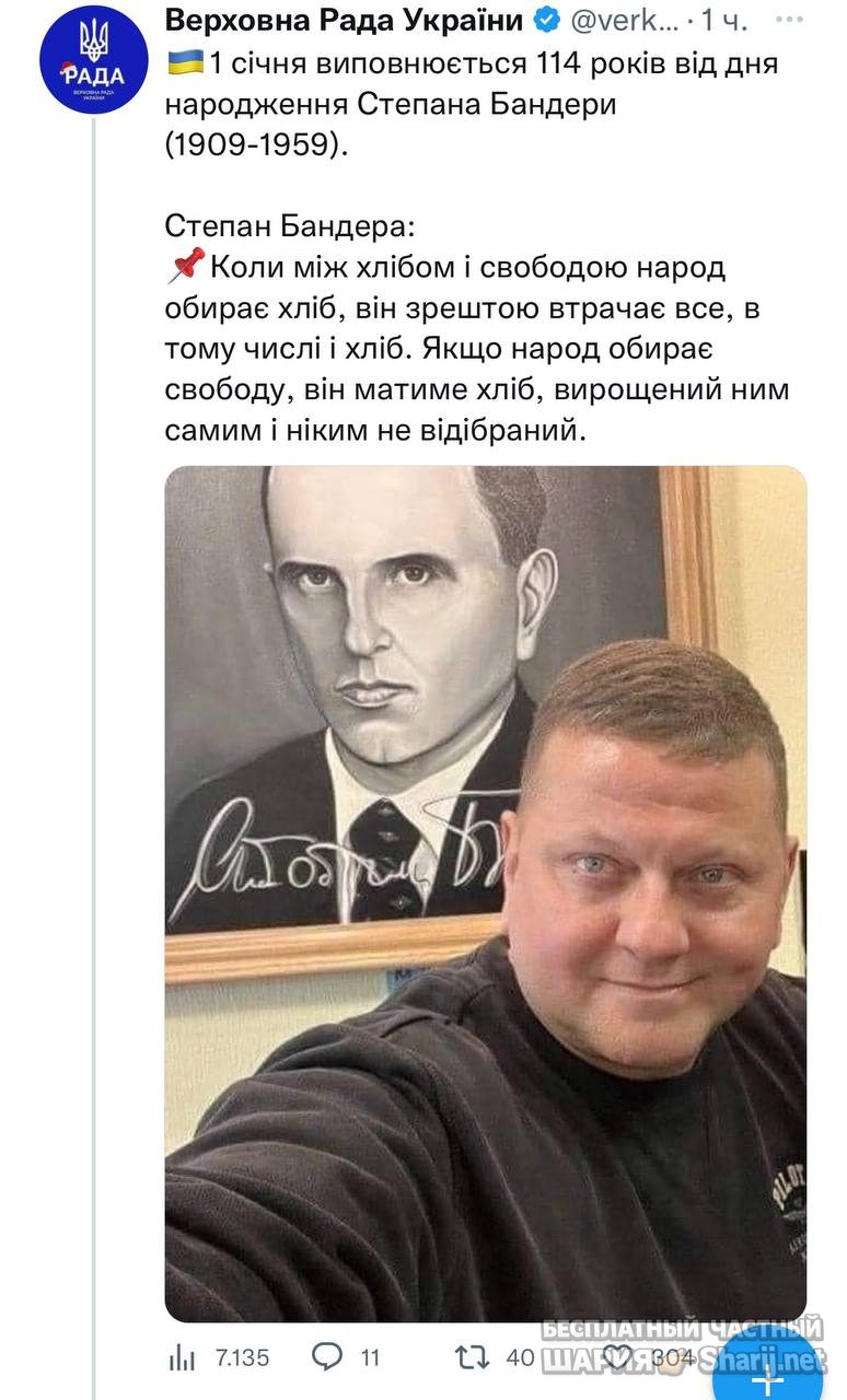 Анатолий Шарий Telegram канал — фото из публикации