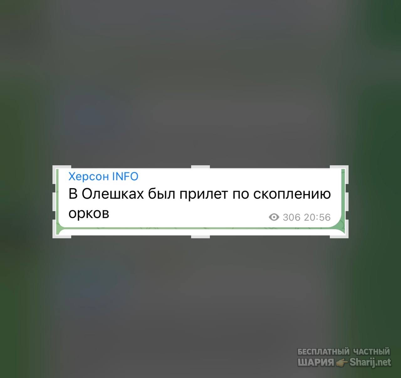 Анатолий Шарий Telegram канал — фото из публикации