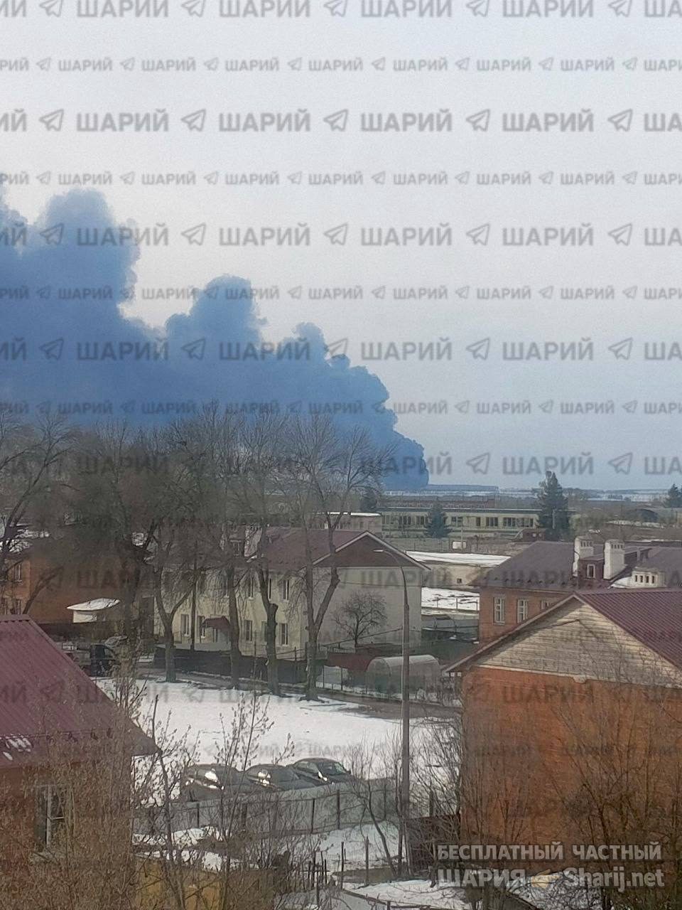 Анатолий Шарий Telegram канал — фото из публикации