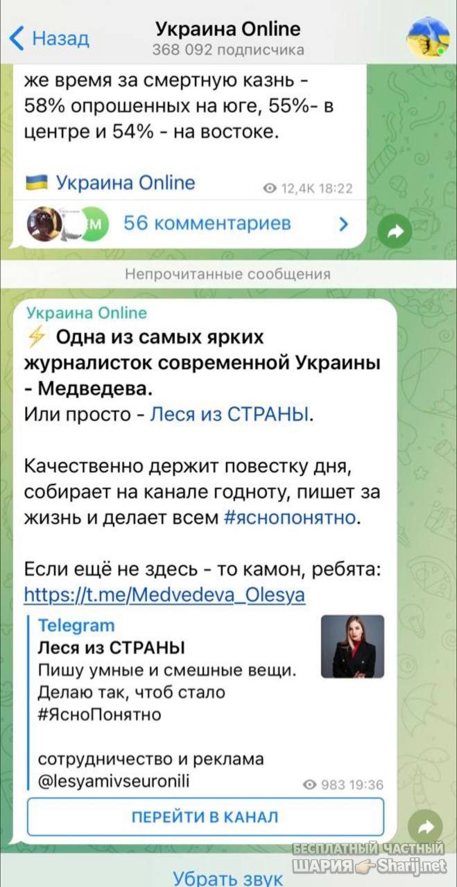 Анатолий Шарий Telegram канал — фото из публикации