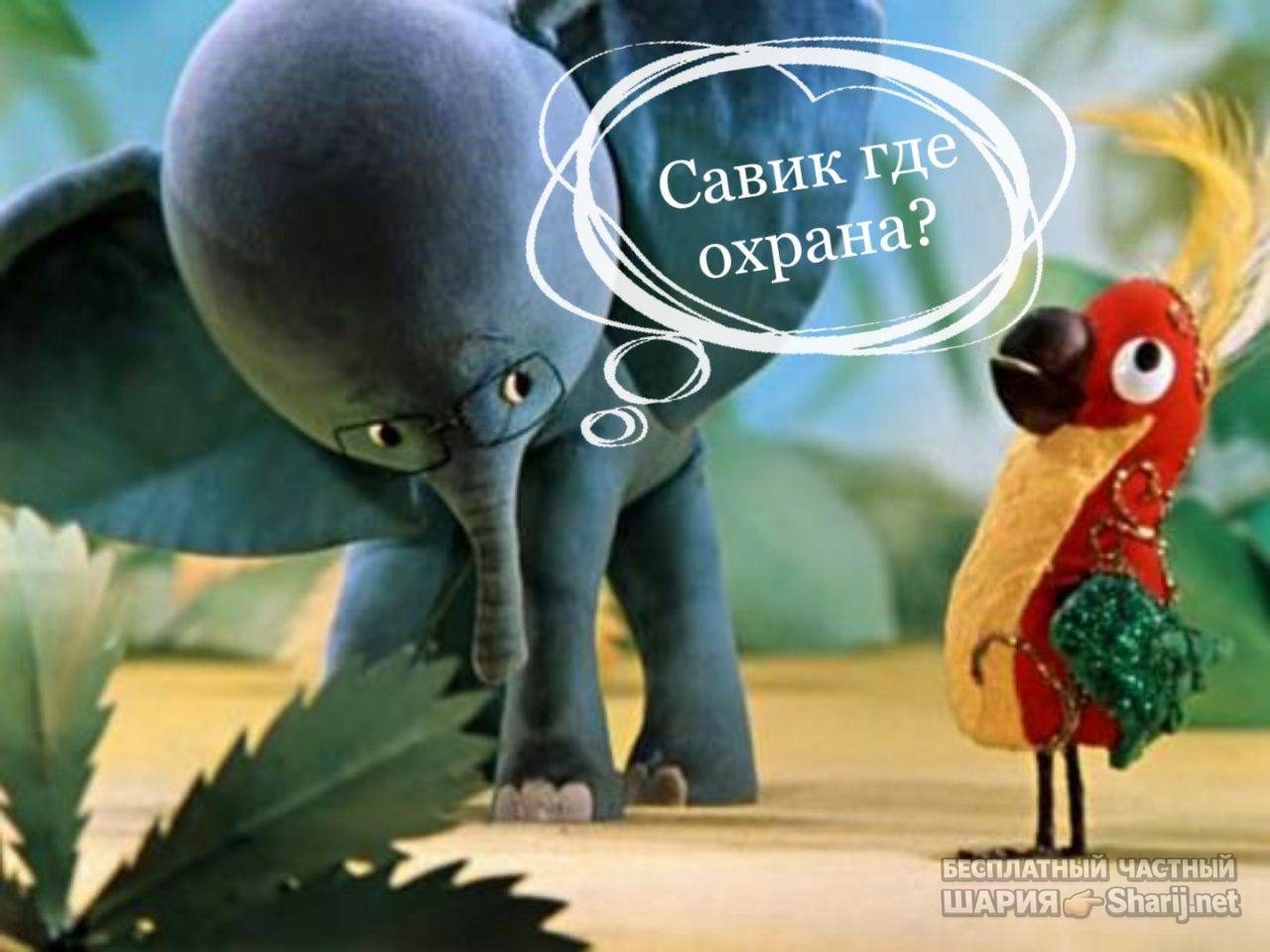 Анатолий Шарий Telegram канал — фото из публикации