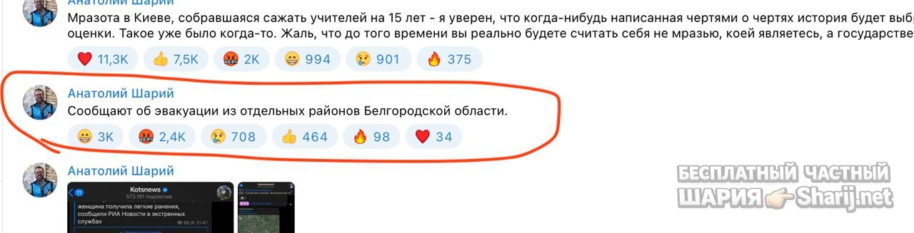 Анатолий Шарий Telegram канал — фото из публикации