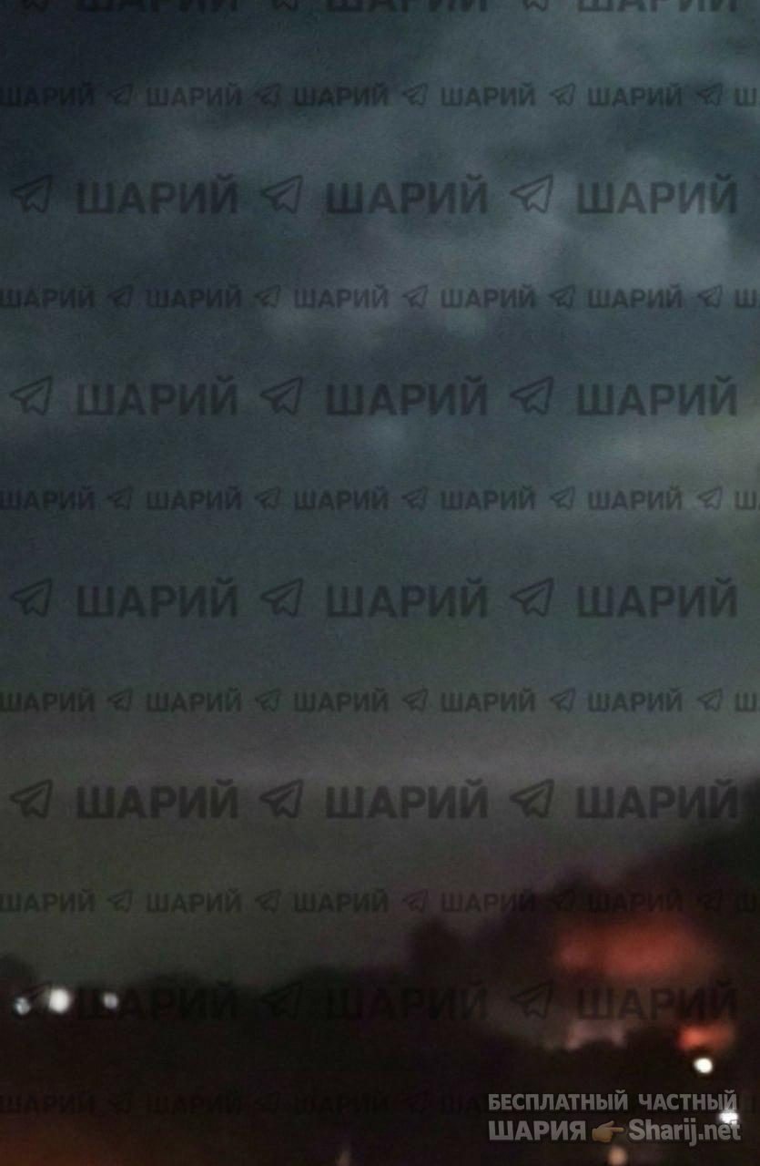 Анатолий Шарий Telegram канал — фото из публикации