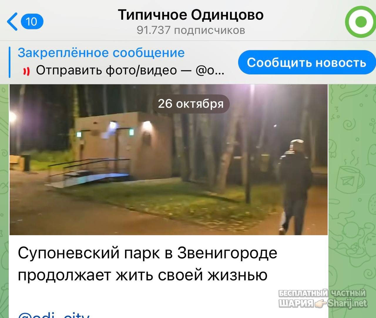 Анатолий Шарий Telegram канал — фото из публикации