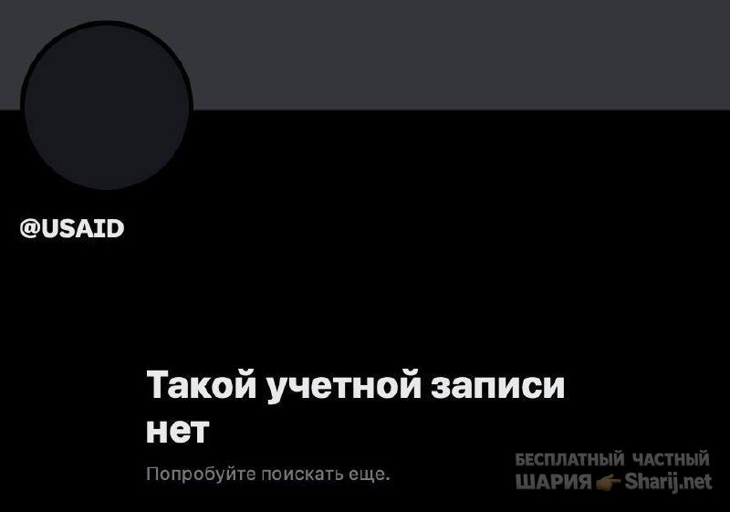 Анатолий Шарий Telegram канал — фото из публикации