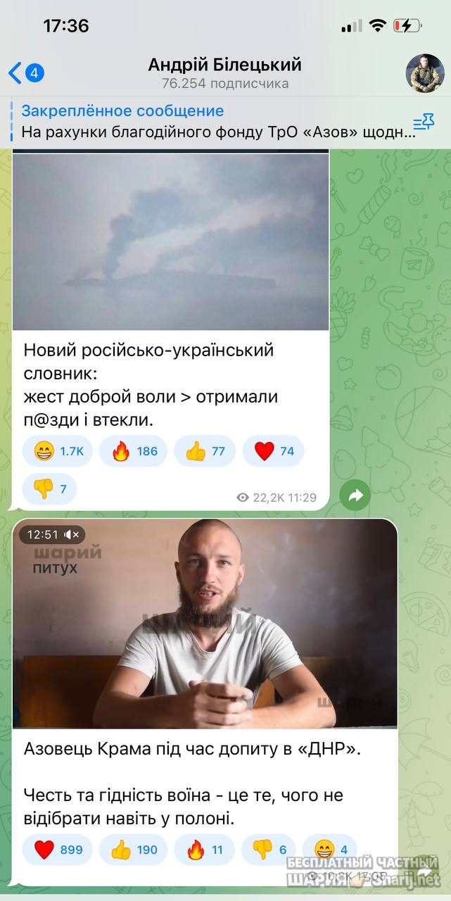 Анатолий Шарий Telegram канал — фото из публикации