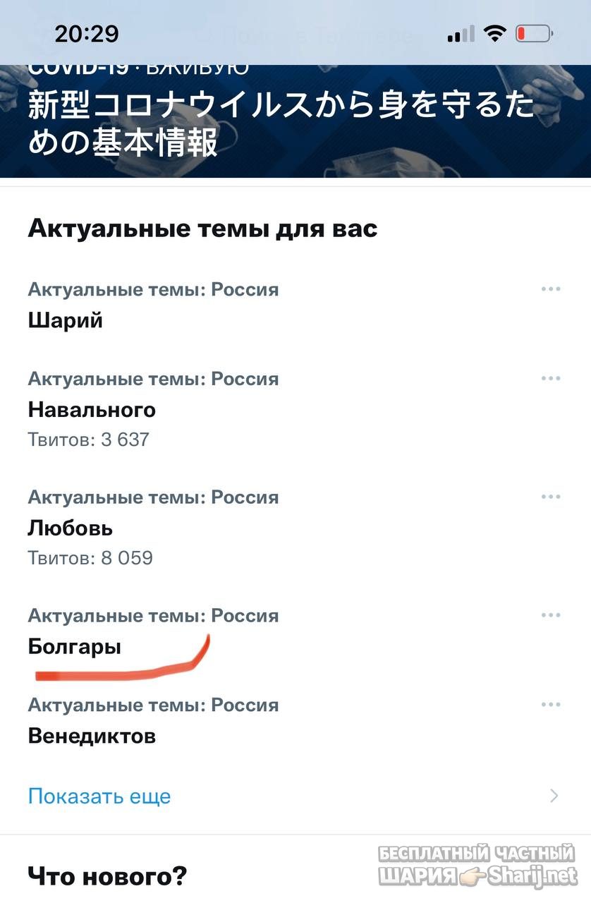 Анатолий Шарий Telegram канал — фото из публикации