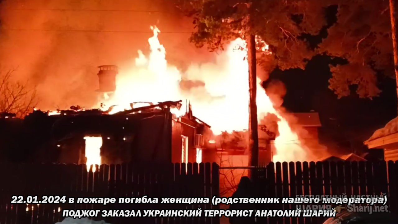 Труха Барселона — фото из публикации