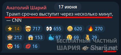 Труха Барселона — фото из публикации