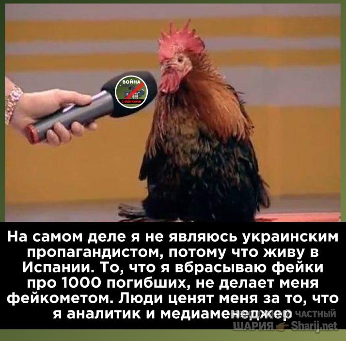 Труха Барселона — фото из публикации
