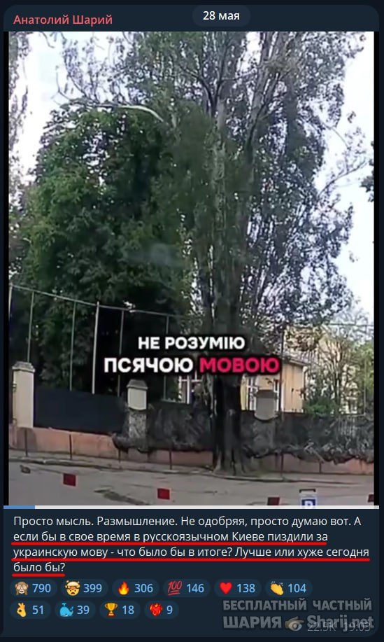 Труха Барселона — фото из публикации