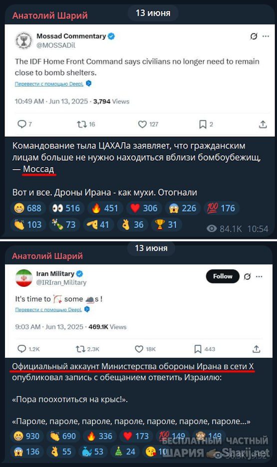 Труха Барселона — фото из публикации