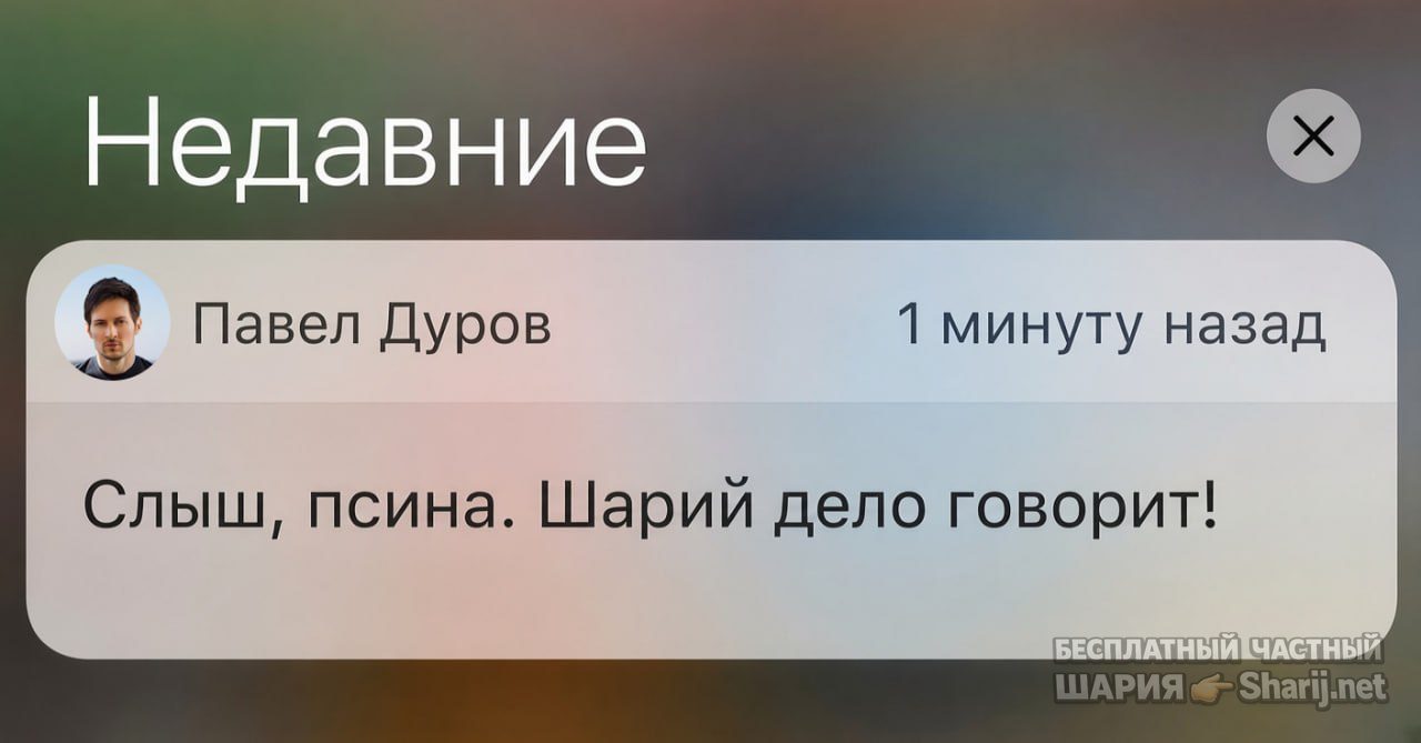 Труха Барселона — фото из публикации