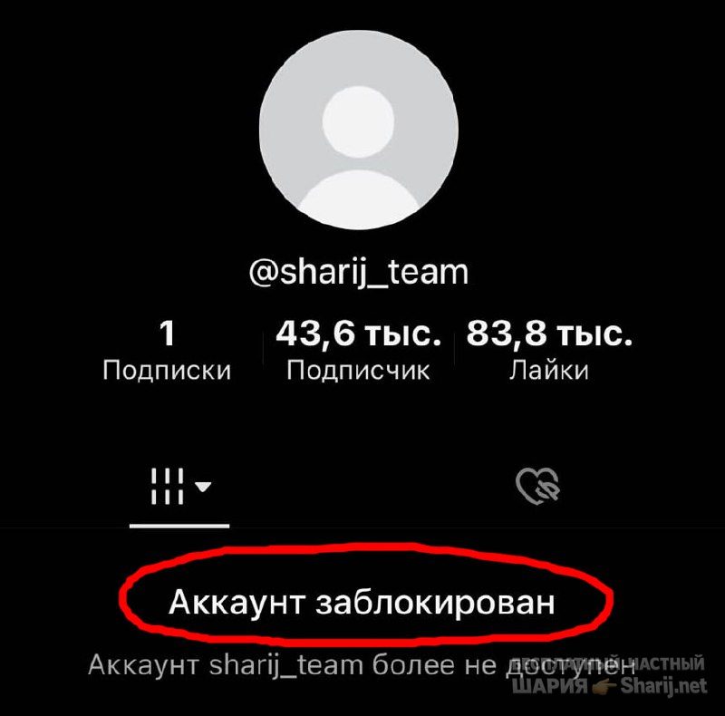 Труха Барселона — фото из публикации