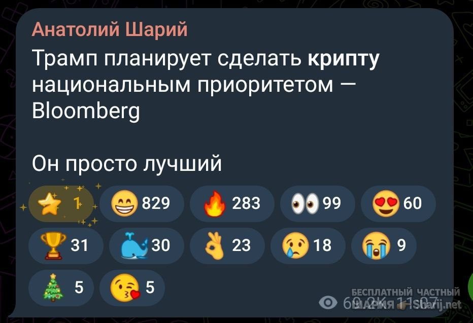 Труха Барселона — фото из публикации