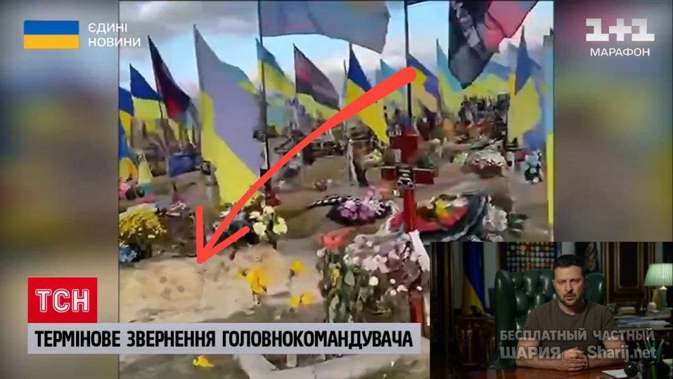 Труха Барселона — фото из публикации