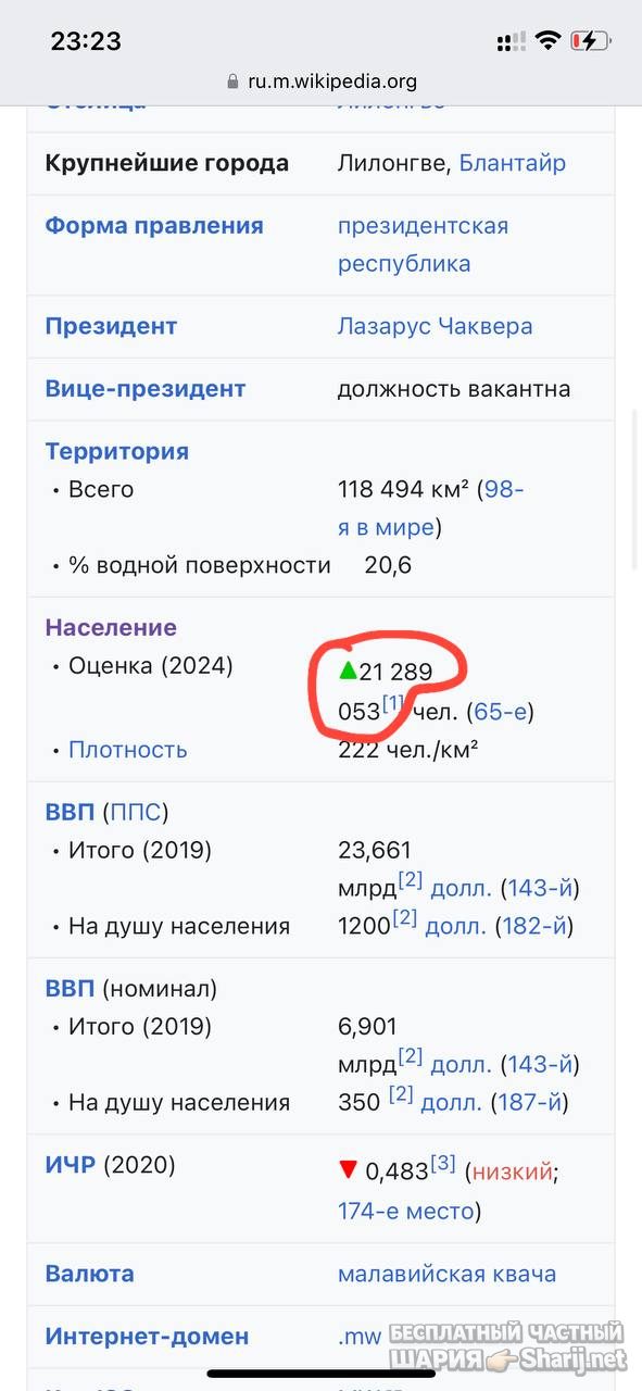 Труха Барселона — фото из публикации