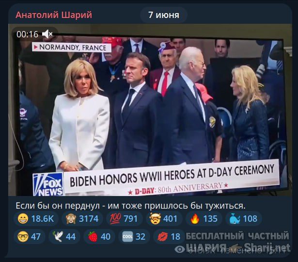 Труха Барселона — фото из публикации