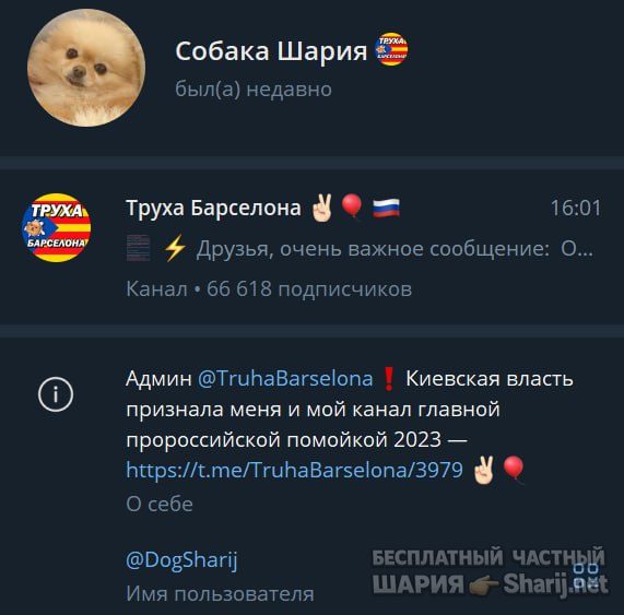 Труха Барселона — фото из публикации