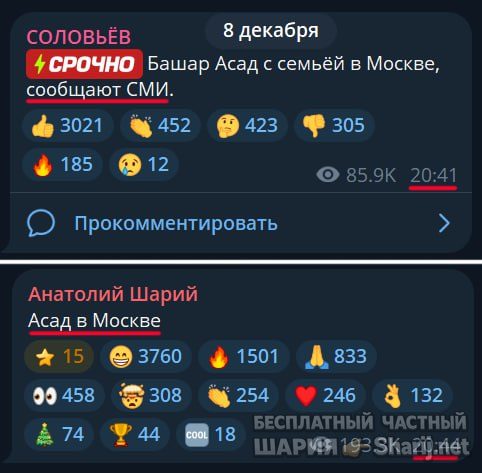 Труха Барселона — фото из публикации