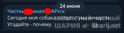 Труха Барселона — фото из публикации