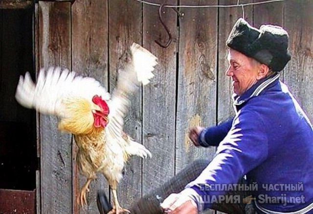 Труха Барселона — фото из публикации