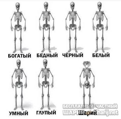 Труха Барселона — фото из публикации