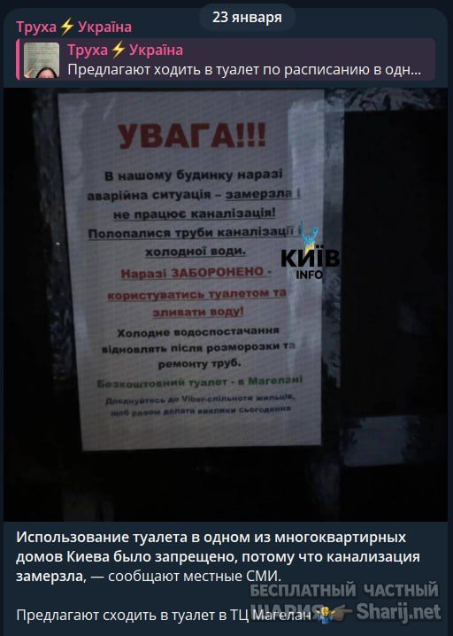Труха Барселона — фото из публикации