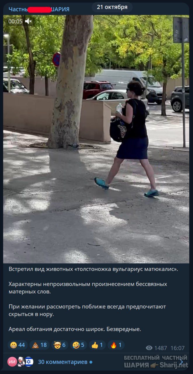 Труха Барселона — фото из публикации