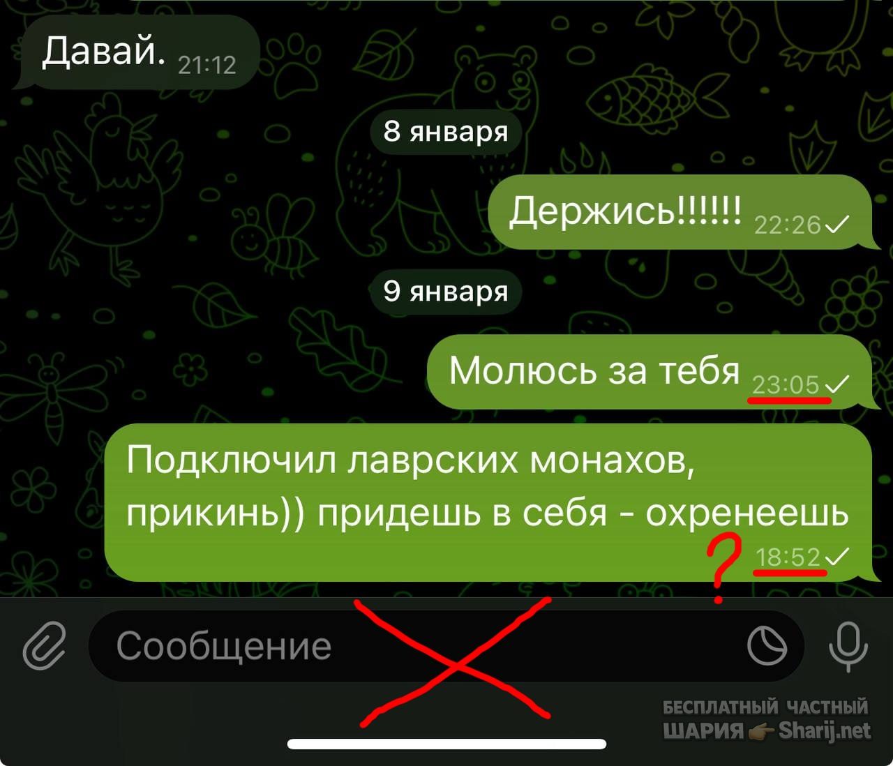 Труха Барселона — фото из публикации