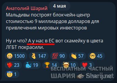 Труха Барселона — фото из публикации
