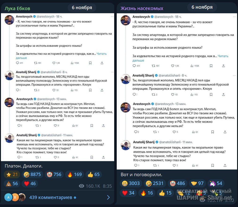 Труха Барселона — фото из публикации