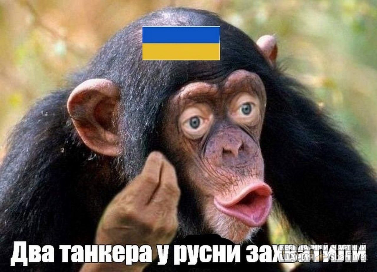 Труха Барселона — фото из публикации