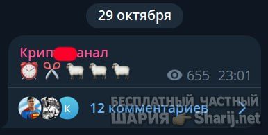 Труха Барселона — фото из публикации