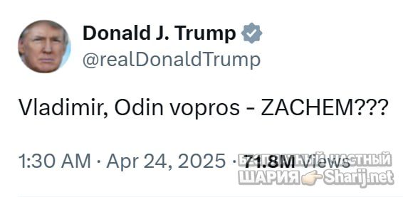 Труха Барселона — фото из публикации