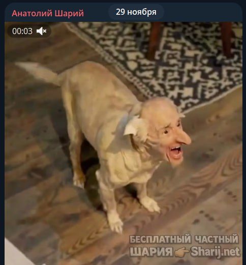 Труха Барселона — фото из публикации