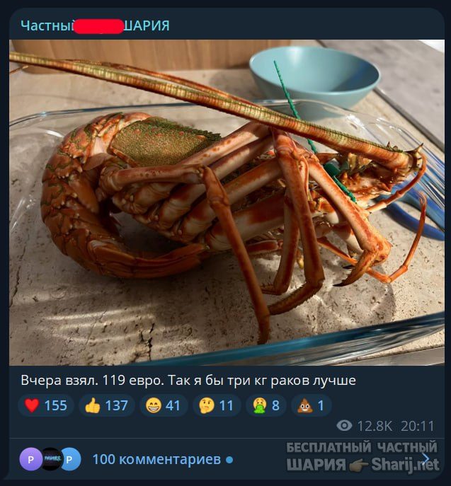 Труха Барселона — фото из публикации