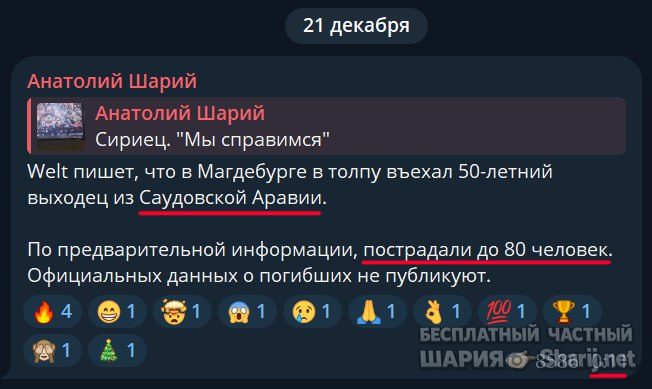 Труха Барселона — фото из публикации