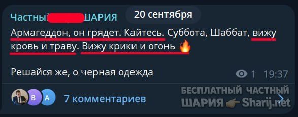 Труха Барселона — фото из публикации
