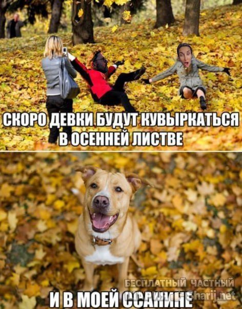 Труха Барселона — фото из публикации